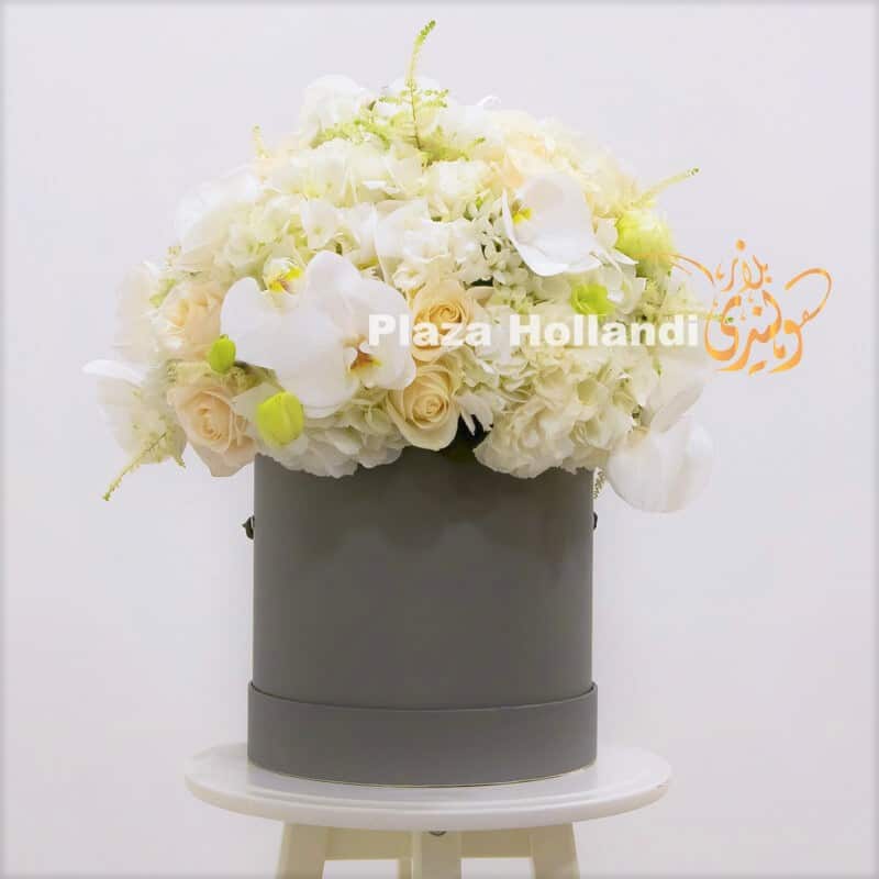Plaza Hollandi box with white and cream flowers back side