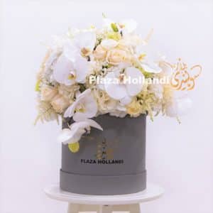 Plaza Hollandi box with white and cream flowers