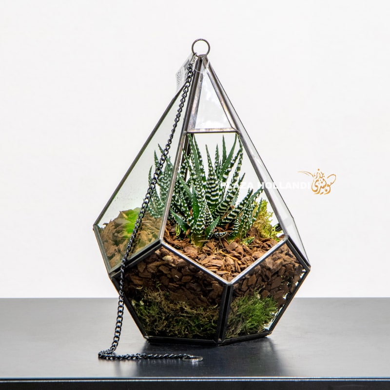 Metal and glass hanging terrarium