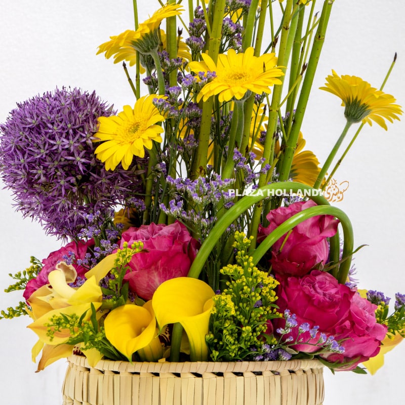 yellow purple and pink flower arrangement