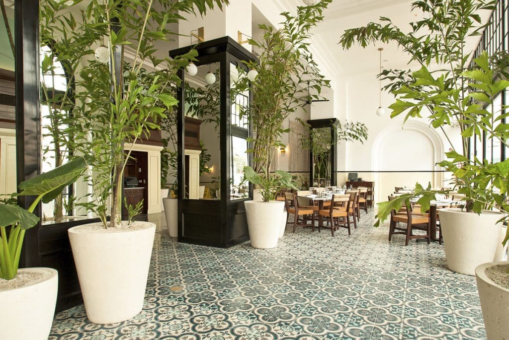 The Guide for the Best Indoor Plants 1 The Guide for the Best Indoor Plants