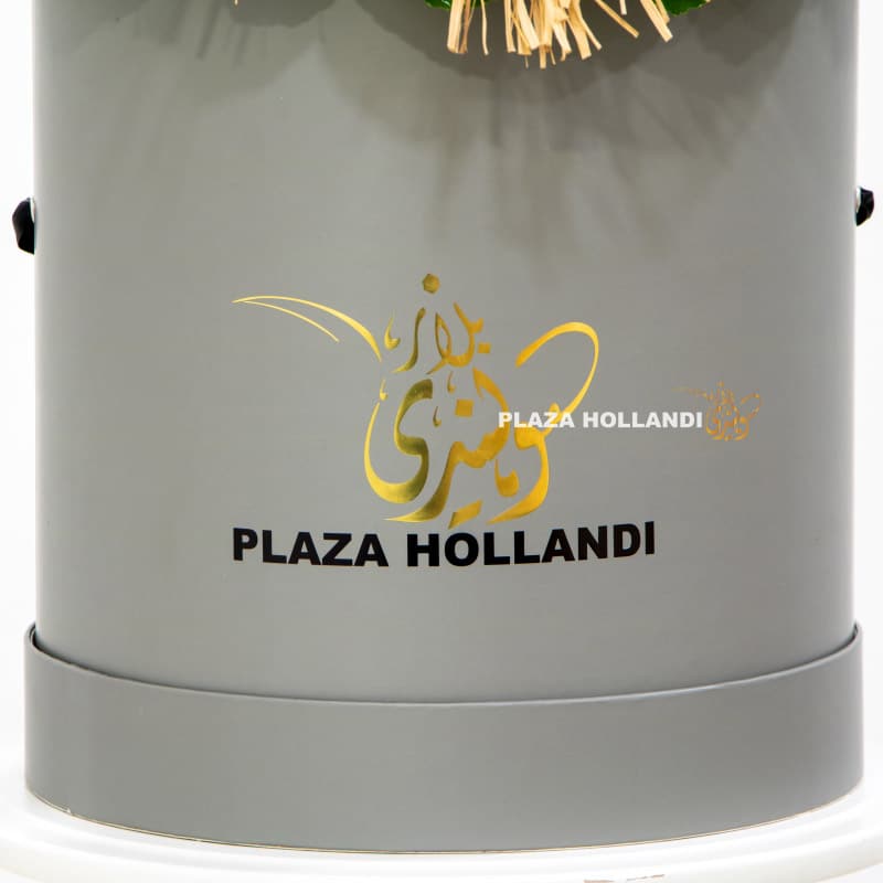 Close up of grey Plaza Hollandi box