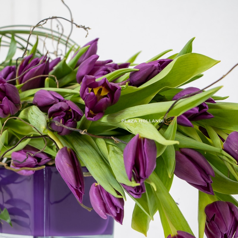 Luxurious Tulips Arrangement