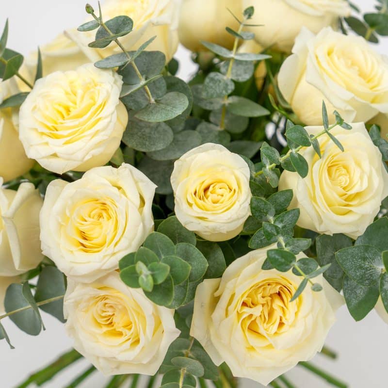 Cream Roses Bouquet