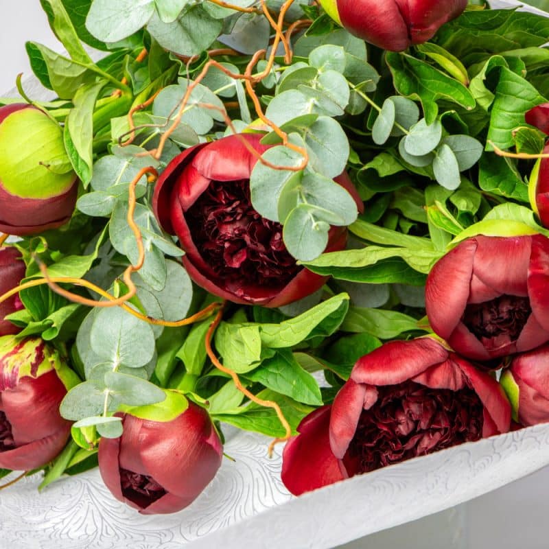 Maroon Peonies Bouquet
