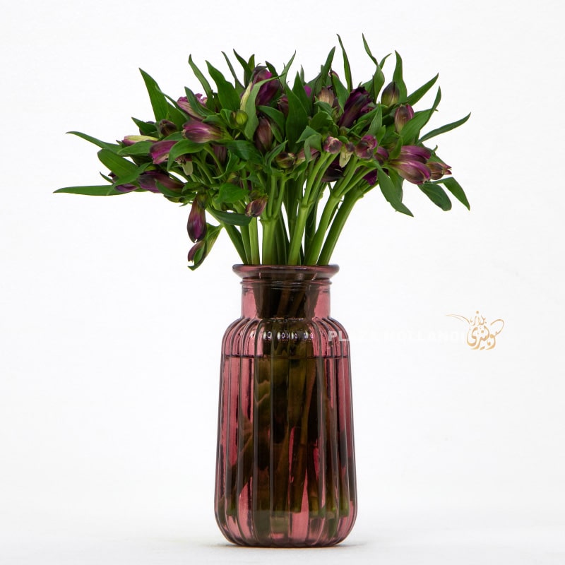 Purple Alstroemeria In a Glass Vase