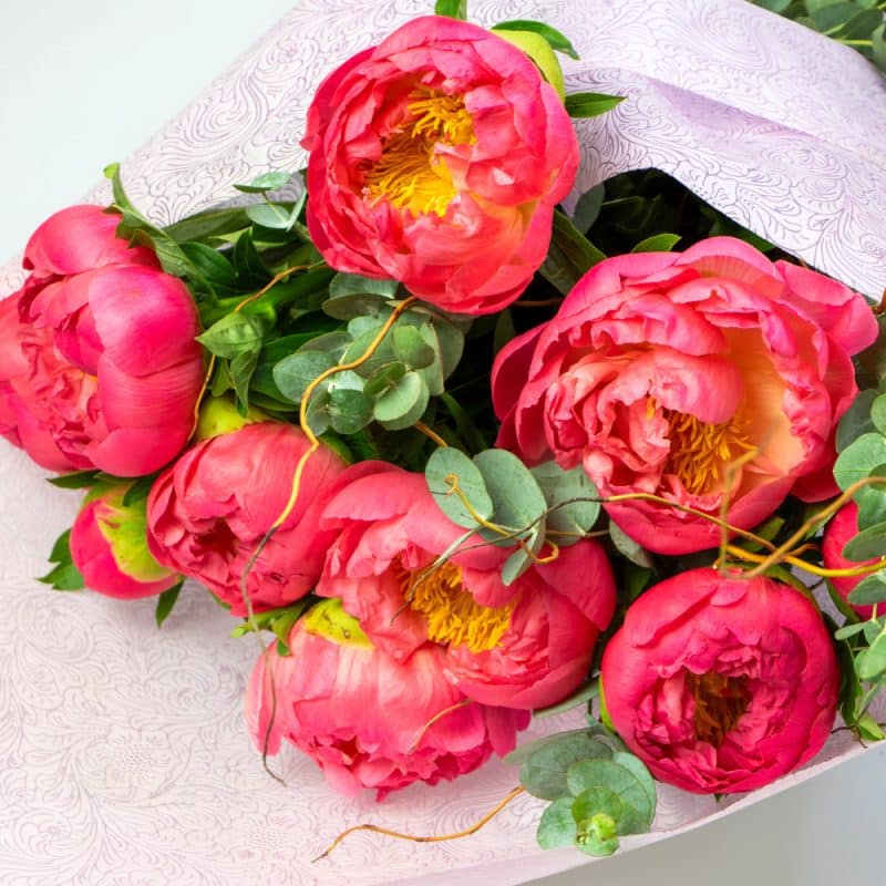 Dark Pink Peony Flowers Bouquet
