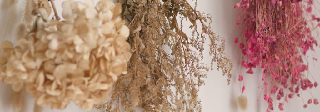 How to dry flowers? 1 Flowers dry in the air