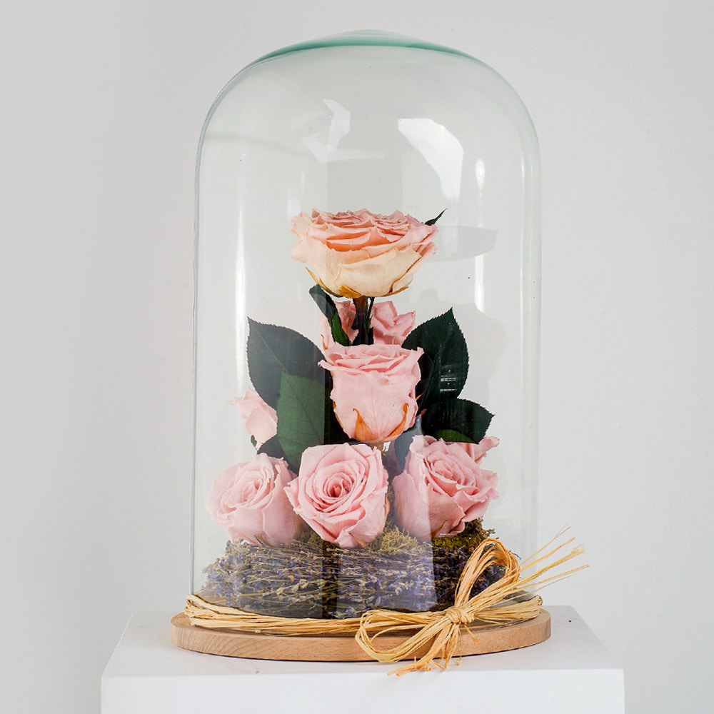 Preserved Flower Gift, Light Pink Roses In Glass Dome, Eternal Forever
