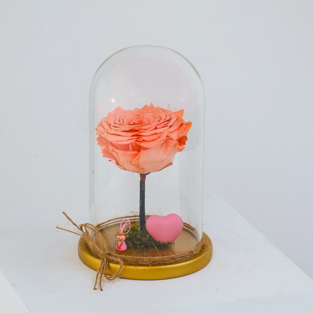 Preserved Flower Gift, Pink Rose In Glass Dome with Hearten, Eternal Forever