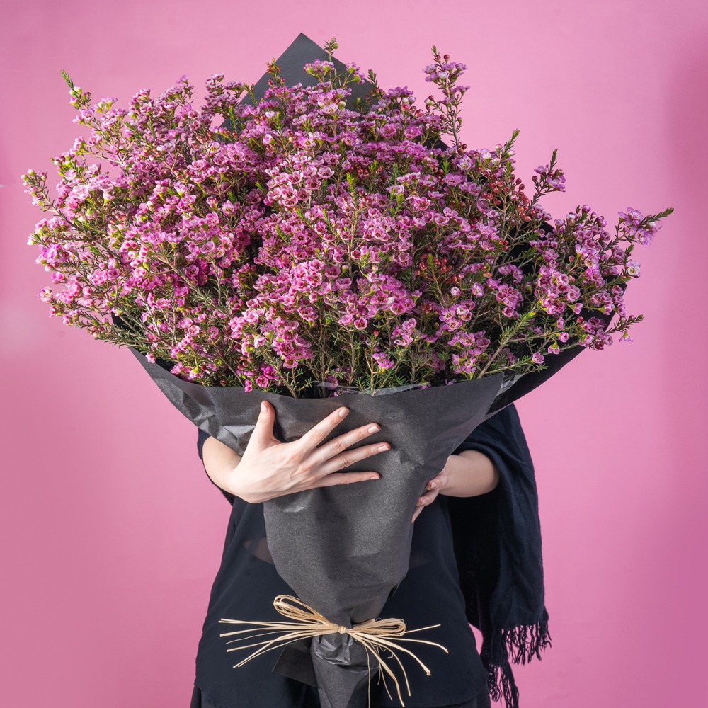 Celebrating Mar Birthdays with Floral Gifts: Asters and Morning Glories