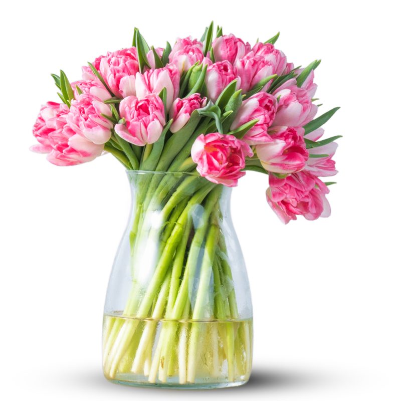 50 Tulips Pink Glass Vase Arrangement