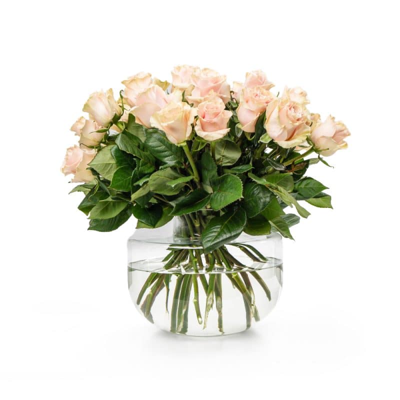 Baby Pink Roses In a glass vase
