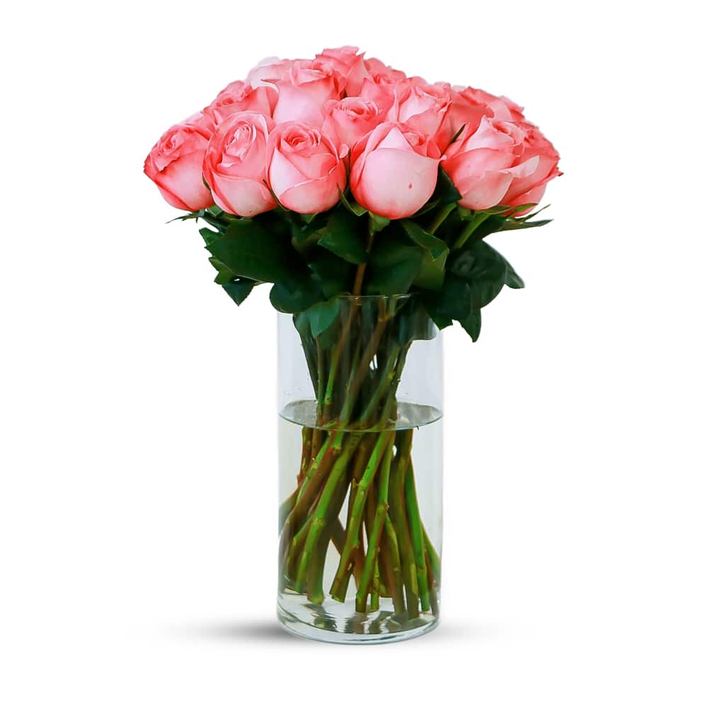 25 Pink X-Pression Garden Rose with Glass Vase