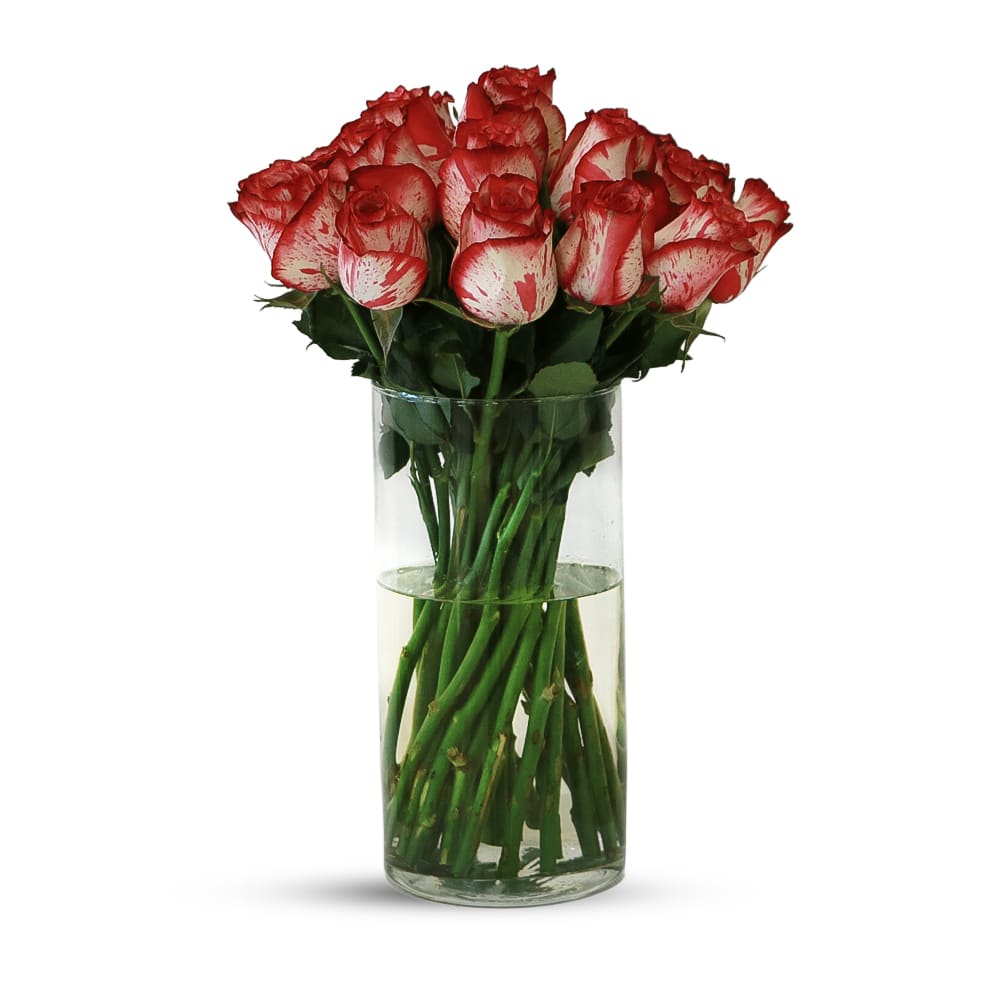 25 Magic Times Roses with Glass Vase