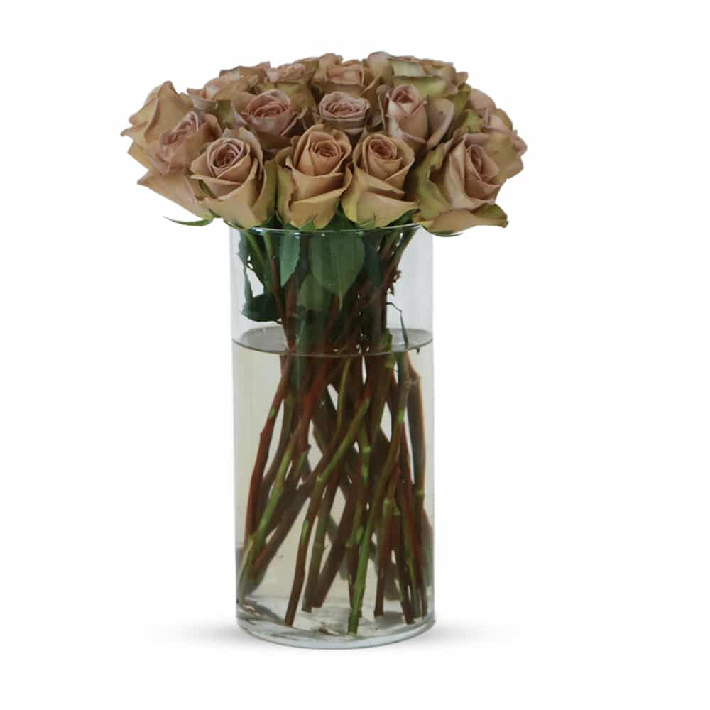 25 Amnesia Roses with Glass Vase