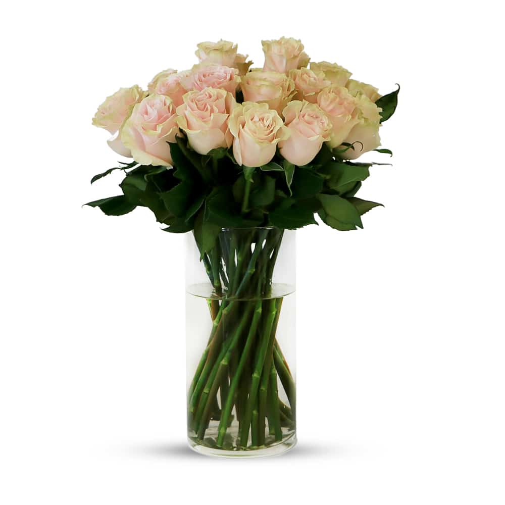 25 Pink Mondial Roses with Glass Vase