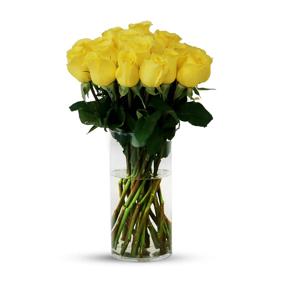 25 Yellow X-Citing Garden Rose with Glass Vase