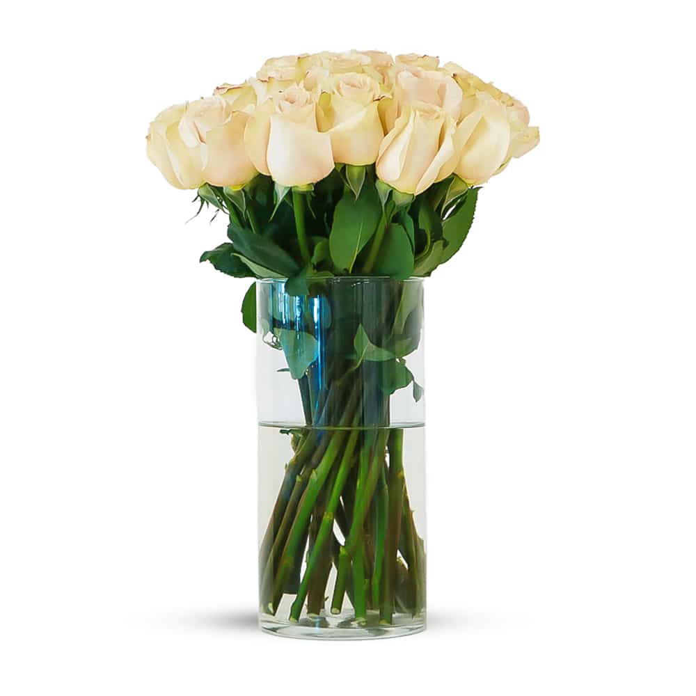 25 Quick Sand Roses with Glass Vase