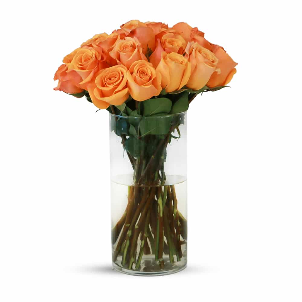 25 Taxo Roses with Glass Vase