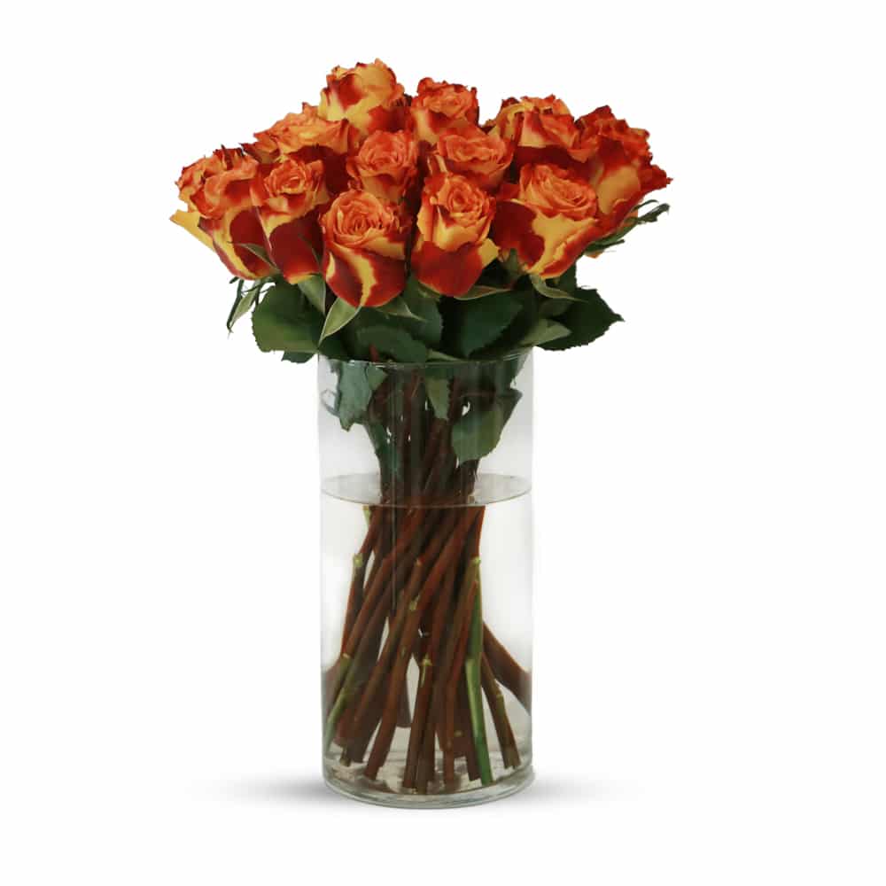 Chili Roses with Glass Vase