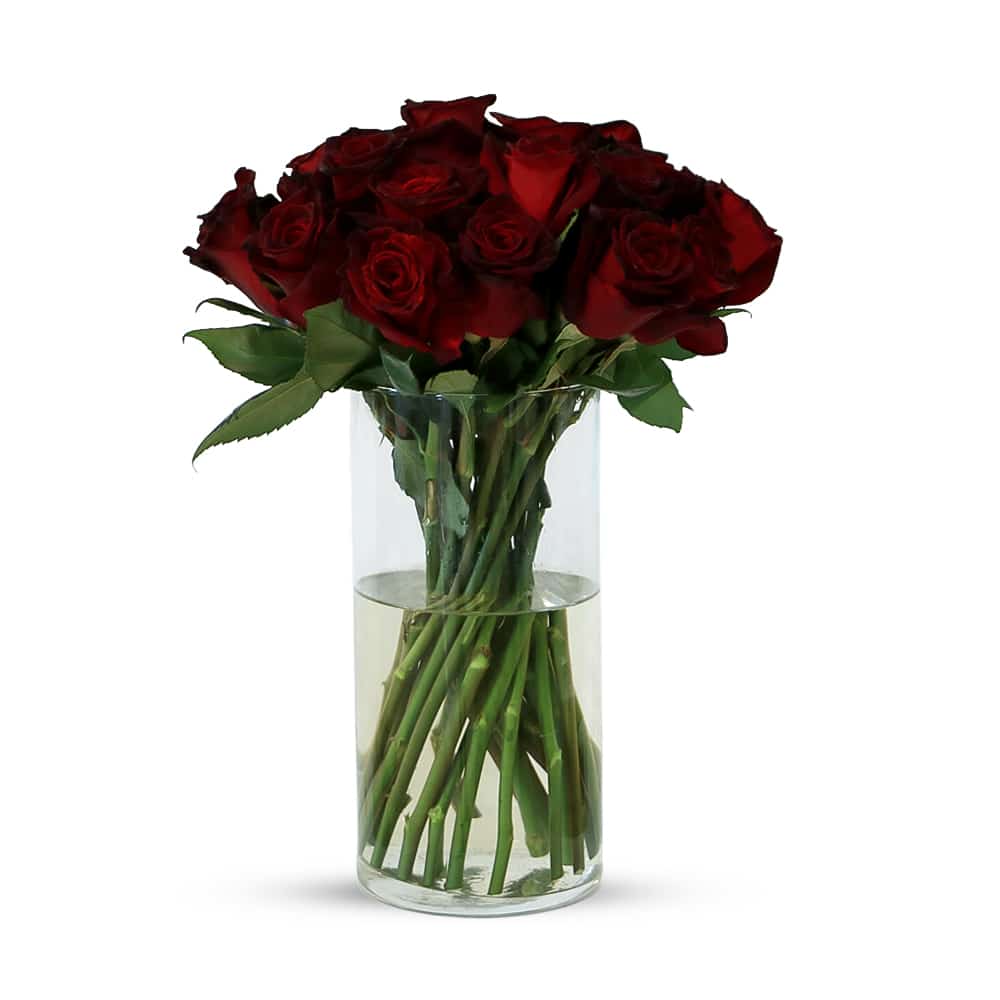 25 Black Baccara Roses with Glass Vase