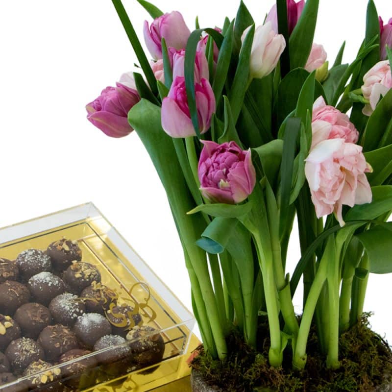 Tulips combined in a pot alongside chocolate