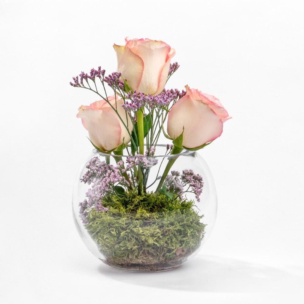 Pink Rose Terrarium 5 Pink Rose Terrarium