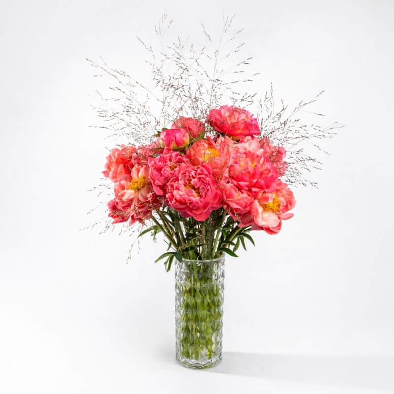 Salmon Color Peony Flower Bouquet