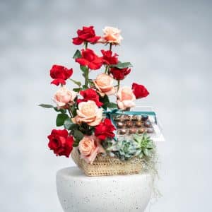 Red & Peach Roses with Echeveria (H 58 cm) and Chocolate