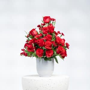 Romantic Blooms: Red Roses & Spray Carnation with Pot (H 50 cm)