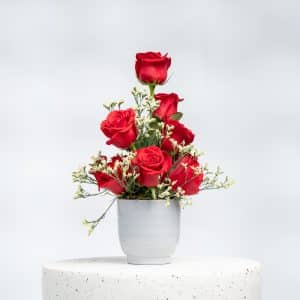 Red Roses, White Limonium in Pot