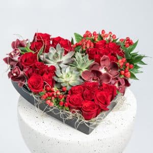 Heart-Shaped Floral Box with Red Roses, Cymbidium & Echeveria