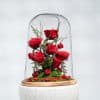 Preserved Roses & Moss Dome