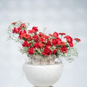 Woodland Romance: Red Gerbera, Red Roses & White Limonium