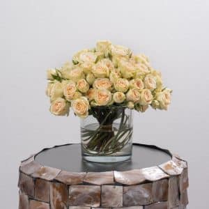 Peach Spray Roses in Stylish Glass Vase (13 CM)