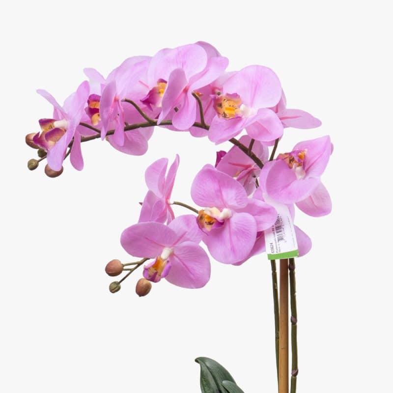 Artificial Phalaenopsis Orchid