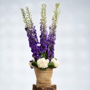 Blue Delphinium & White Roses in Reed Basket – 100cm