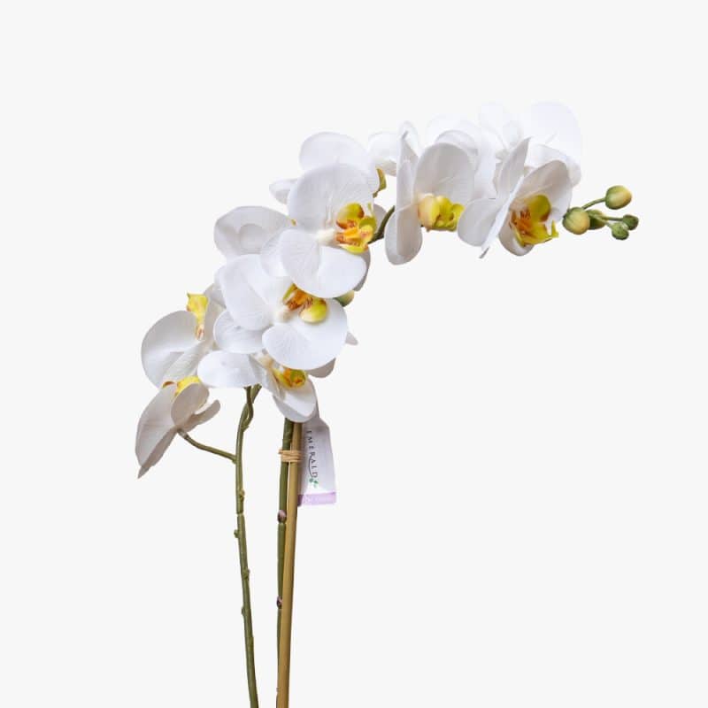 Artificial Phalaenopsis in Elegant Pot