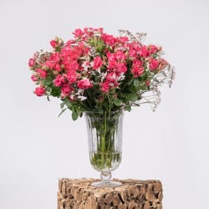 Limonium
