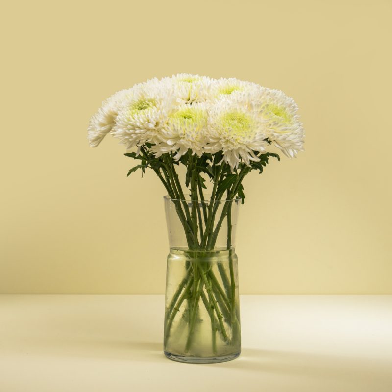 The Chrysanthemum Charm