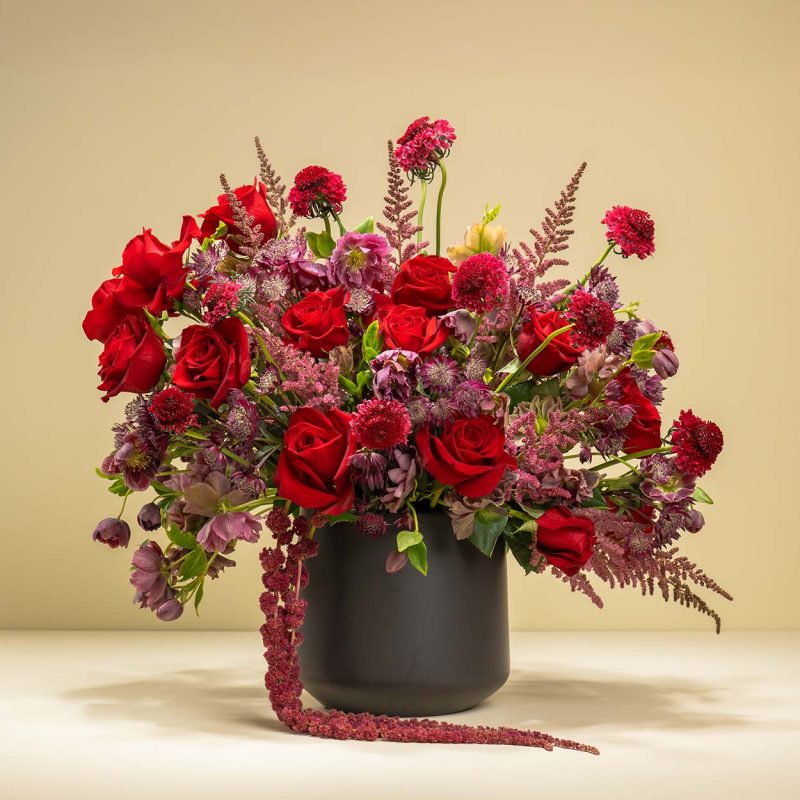 Crimson Whispers – Red Baby Roses and Dancing Astilbe