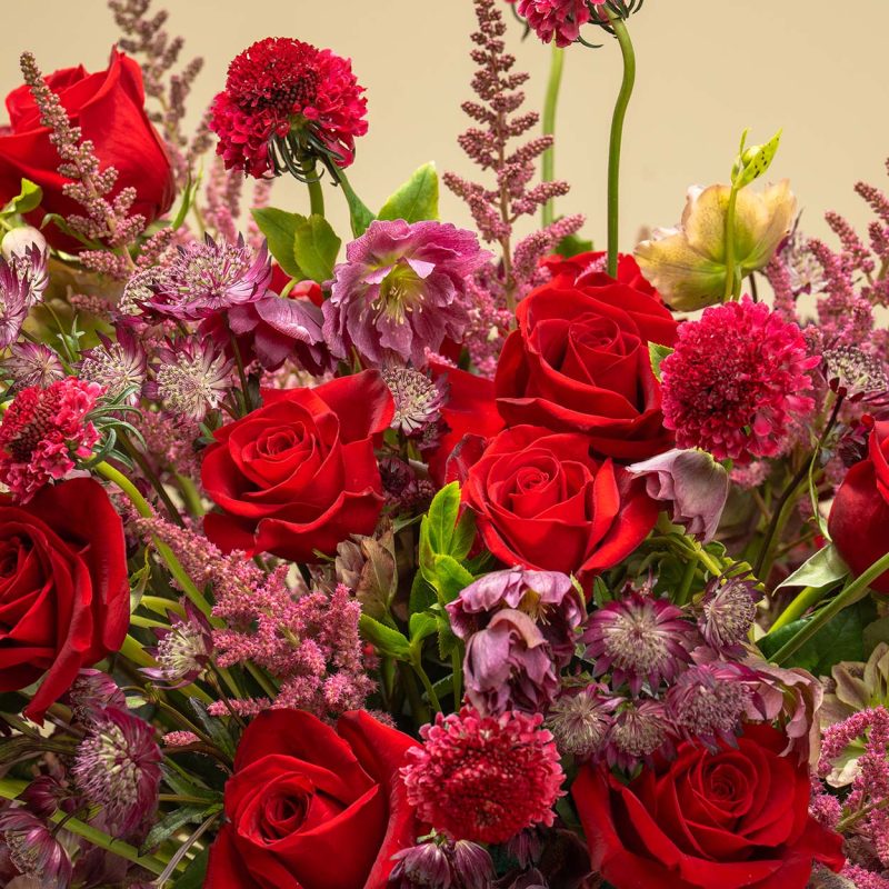 Crimson Whispers – Red Baby Roses and Dancing Astilbe
