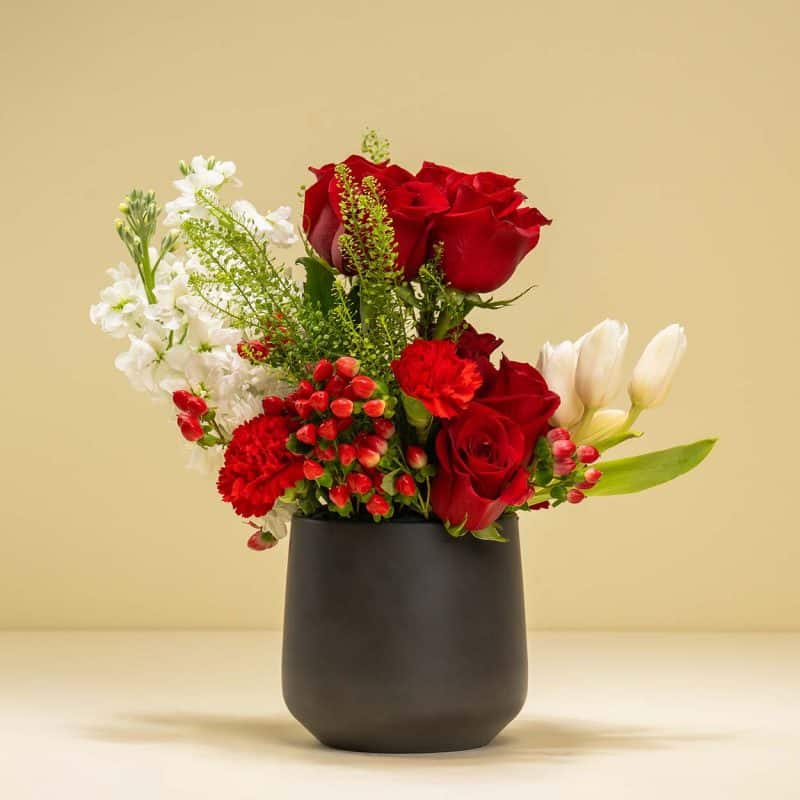 Crimson Clove Cascade