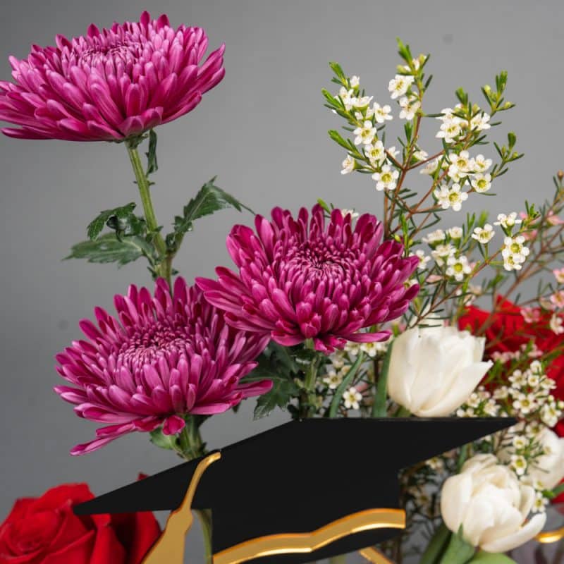 Scholarly Bloom – Graduation Edition -20CM