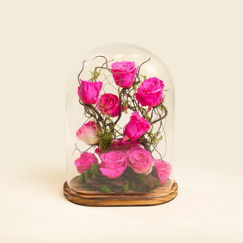 Preserved Pink Roses on Wooden Base – Eternal Beauty