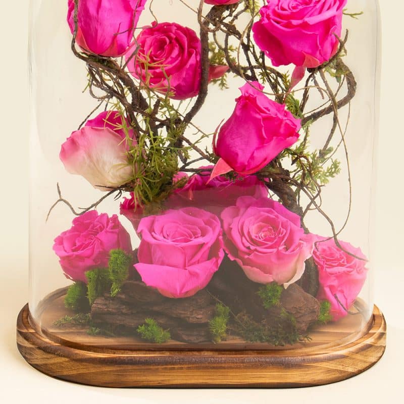 Preserved Pink Roses on Wooden Base – Eternal Beauty