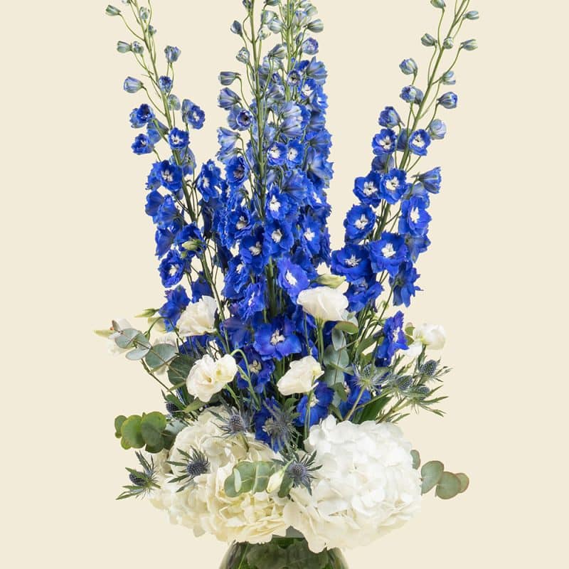 Graceful Bloom Mix with Delphinium and Hydrangea