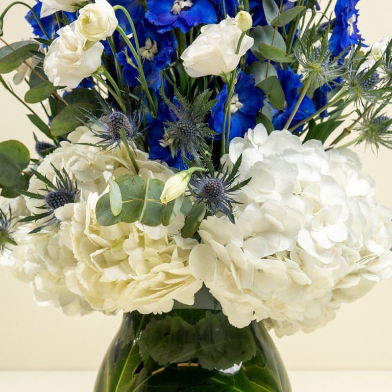 Graceful Bloom Mix with Delphinium and Hydrangea