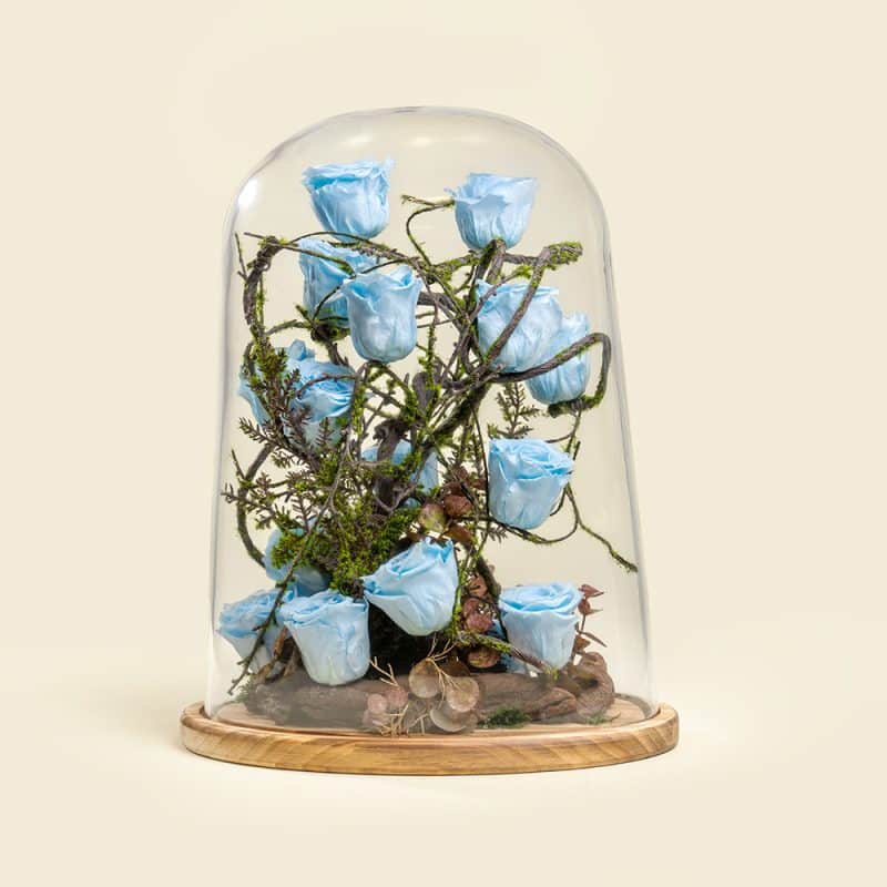 Preserved Roses in Wooden Base